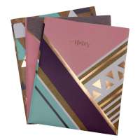 Colorful Plastic Pocket Folder, Letter Size  Double Pocket File Folder Stylish  Plastic Pocket with Tadpole  Clip